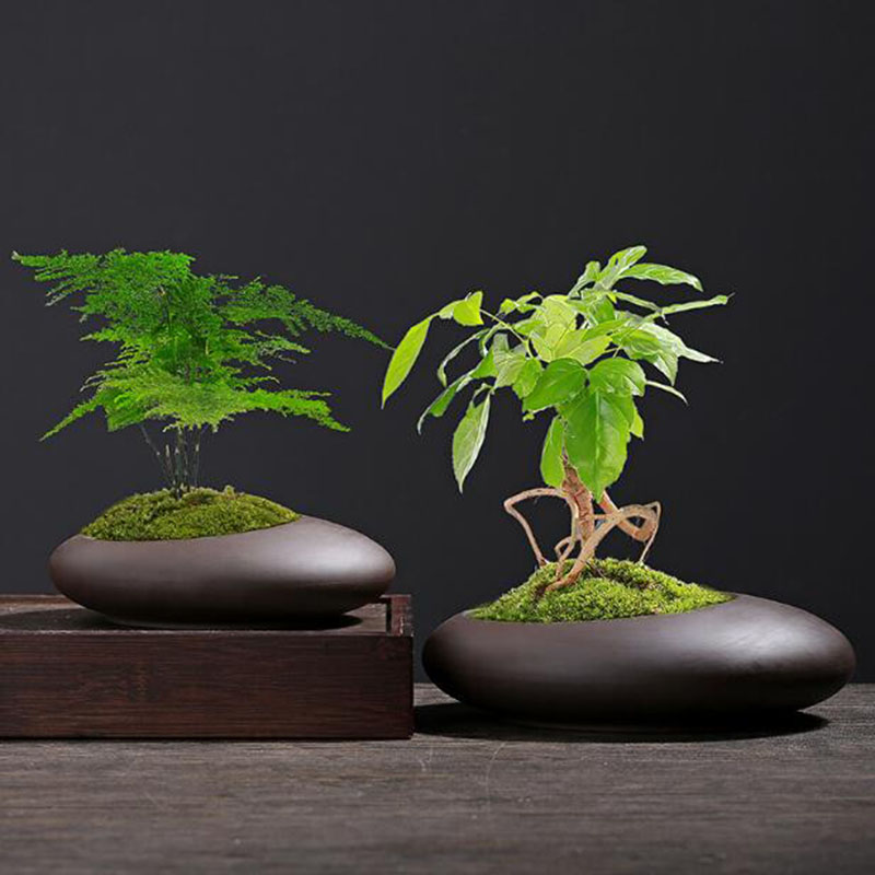 Tagine Clay Pot - レトロ紫粘土植木鉢中国風蘭アスパラガス・ビリディス花瓶通気性のある花瓶デスクトップ装飾品庭の装飾