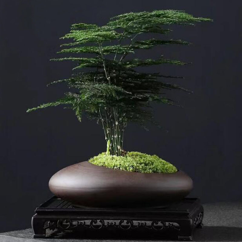 レトロ紫粘土植木鉢中国風蘭アスパラガス・ビリディス花瓶通気性 - Tagine Clay Pot のレビューと価格