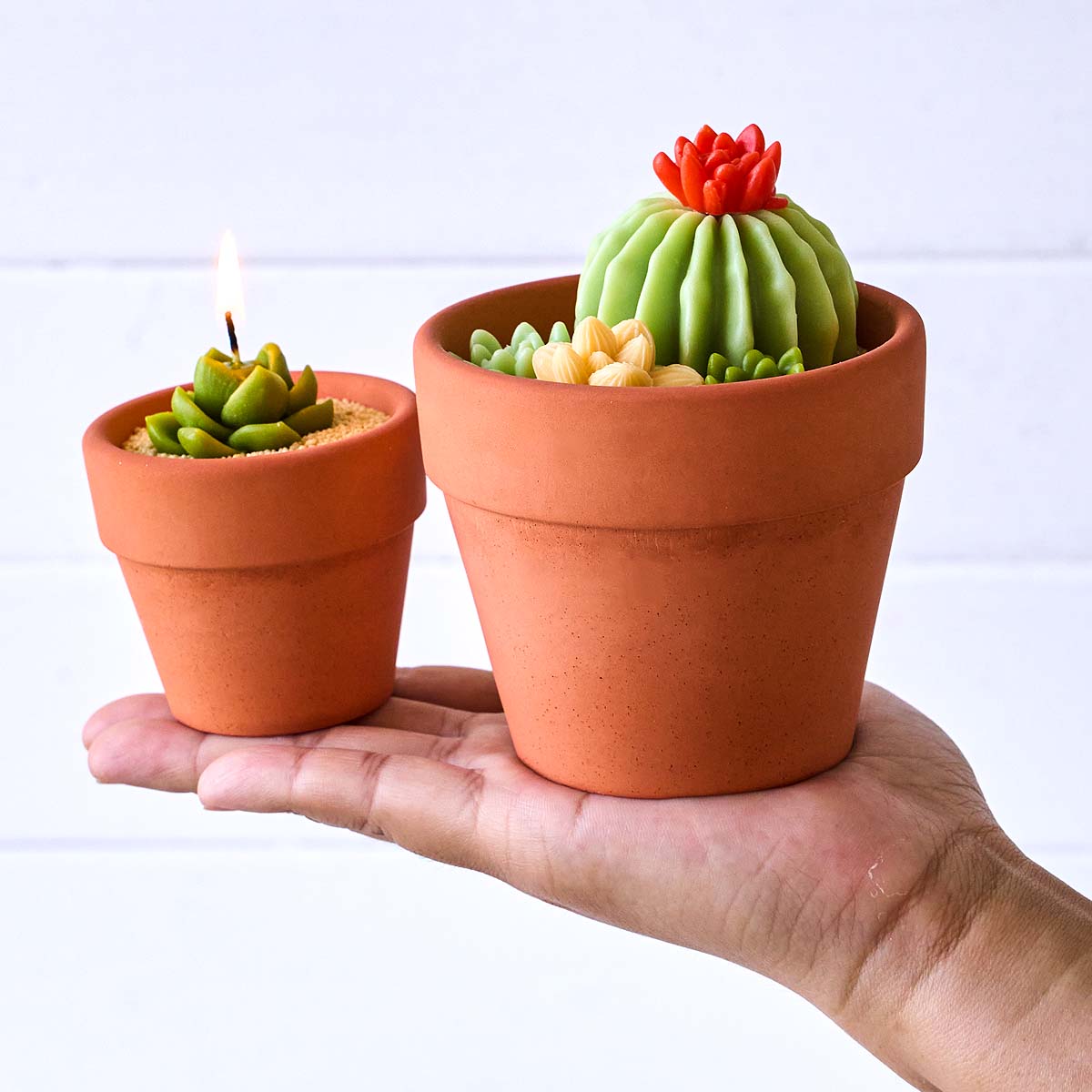 3D北欧キャンドルジャー用シリコンモールド DIYサボテン多 - Tagine Clay Pot のレビューと価格